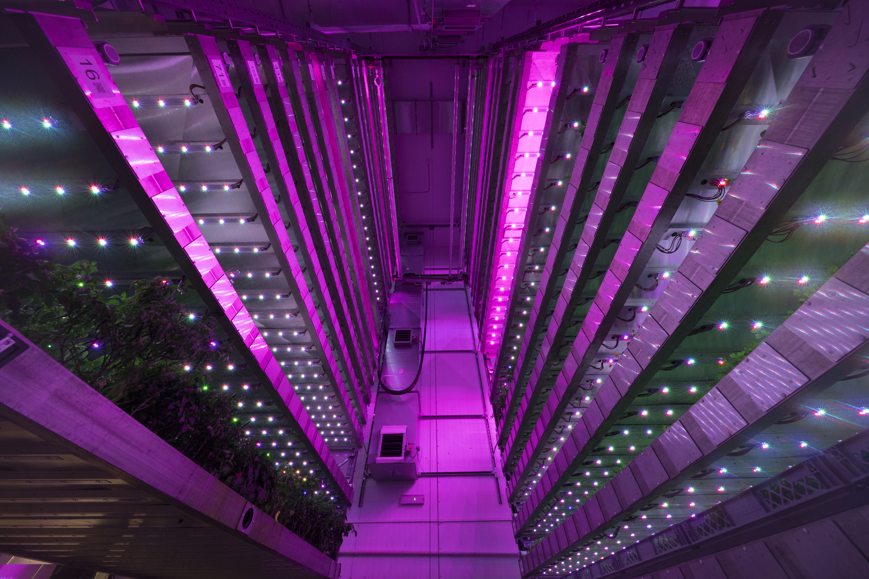 Showing vertical farm